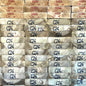 C24 Graded Tanalised Pressure Treated Timber 47mm x 200mm 4.8m