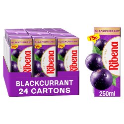 Ribena Blackcurrant Juice Drink Soft Drink 250ml