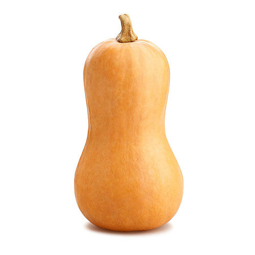 Butternut Squash Single