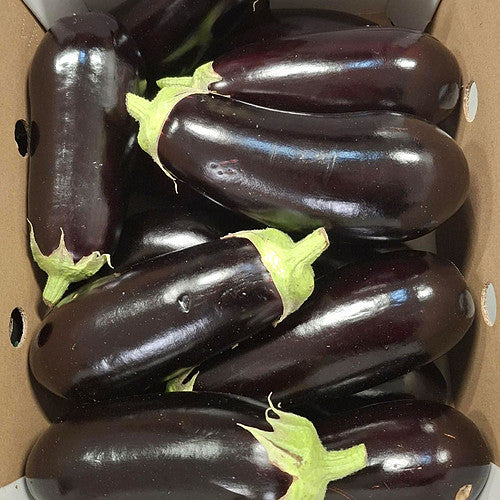 Aubergines 5kg