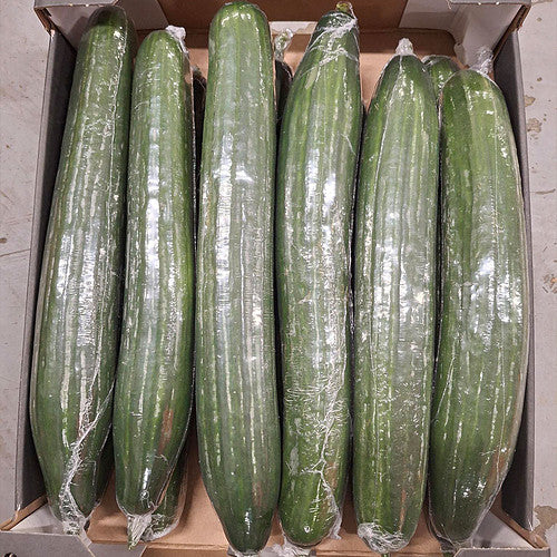 Large Cucumbers Box