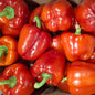 Red Capsicum 5kg
