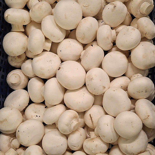 Cup Mushrooms 2.5kg