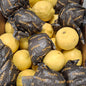 Fresh Lemons 35 Pack