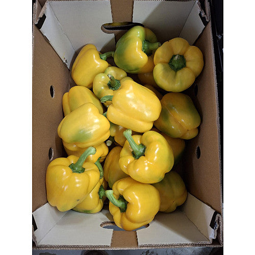 Yellow Capsicum 5kg